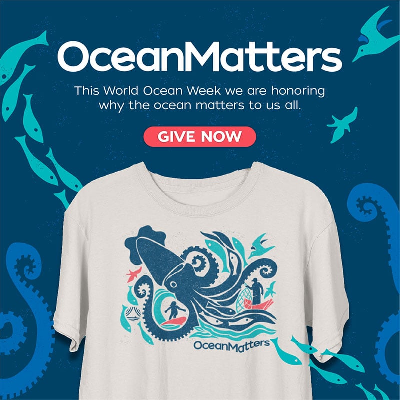 Ocean-Matter_WOD_Popup_Option-3